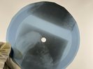 JOAN BAEZ WILDWOOD FLOWER X-Ray USSR Record Roentgen Ribs Bones Music Vinyl