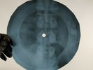 BOB DYLAN ALL I REALLY WANT TO X-Ray USSR Record Roentgen Bones Ribs Music Vinyl