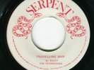 The Techniques: Travelling Man on JA Serpent