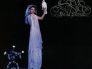 STEVIE NICKS BELLA DONNA 180 GRAM VINYL (2016 Remaster) (New/Sealed)