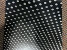 beach house bloom vinyl