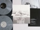 If These Trees Could Talk - The Bones Of A Dying World 2016 1st Issue cool grey