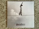 RARE - Incubus - If Not Now, When? 2 LP original 1st press 180-gram - VG+/NM
