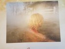 12 inch vinyl EP - Cocteau Twins - Peppermint Pig