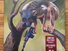 Sunny Day Real Estate/Circa Survive 