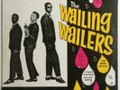 COVER ONLY Bob Peter Bunny - The Wailing Wailers Studio 1 One Reggae LP 33Rpm