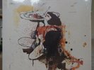 Peter Doherty Grace / Wastelands Vinyl Record Original press Rare  Fab