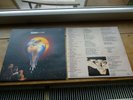 ROBERT PLANT: Fate Of Nations: 1993 RARE LP:  Europe Pressing Excellent Vinyl