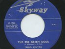 HEAR - Rare R&B / Novelty 45 - Taldo Kenyon & The Spacemen - The Big Green Door