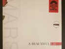 THIRTY SECONDS TO MARS - A BEAUTIFUL LIE Red Vinyl LP Album 30 Jared Leto HMV
