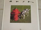 Rush Signals Vinyl LP 1982 Mercury SRM-1-4063