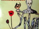 NIRVANA - INCESTICIDE - Vinyl LP - Mint / Nuovo
