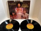 Jimi Hendrix Electric Ladyland Double Album Vinyl LP VG