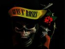 GUNS N`ROSES - Skulls N`Bones +  rare Picture LP / Fan Club Edition 