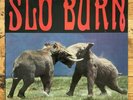 Slo Burn – Amusing The Amazing - 10