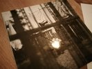Vinyl  Paul  McCartney chaos and creation in the backyard first press 2005