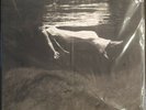 BILL EVANS / JIM HALL - Undercurrent LP / 2014 MFSL Pressing SEALED / MOFI