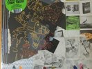 ANIMAL COLLECTIVE - TIME SKIFFS - INDIE LIMITED RUBY RED DOUBLE VINYL 2xLP *NEW*