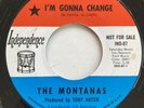The Montanas I’m Gonna Change/A Step In The Right Direction PROMO IND-87 SOUL 45