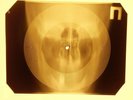 Doors - Wintertime Love X-RAY OF USSR X-RAY BONES RECORDS