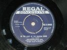 TYRANNOSAURUS REX BY THE LIGHT OF A MAGICAL MOON IRISH 7' RAR 1970