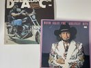 David Allan Coe Rides Again Vtg 1977 + Greatest Hits Outlaw Country Vinyl