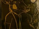 Shakey Graves - Roll The Bones X: 2x Color In Color Splatter Wax 12