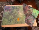 Animal Collective “Water Curses” Vinyl EP (2008, Domino) Original Press VG+/NM