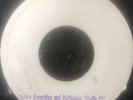 ZOOT SIMMS/THE ESTABLISHMENT - Small Garden, Rare Ja. Blank 1970's Roots