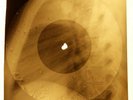 Ray Charles - Basin Street Blues X-RAY OF USSR X-RAY BONES RECORD