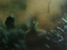STEELY DAN - KATY LIED - US 78 - NM - MFSL