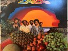 Celebration Karma LP Near Mint Vinyl