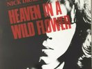 Nick Drake Heaven In A Wild Flower Vinyl Album - first pressing
