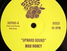 MAD HONEY - UPWARD BOUND - 12 SPACE GRAPES VINYL FUNK/BOOGIE NEW 80'S STYLE LTD