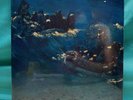 The Avalanches Since I Left You SEALED NEW Original 2016 XL Modular XLLP-138 2LP