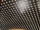 Beach house bloom vinyl