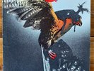 Budgie – In For The Kill - Hard Rock-Prog Rock Vinyl LP - OG