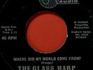 1968 THE GLASS HARP 45rpm Record Youngstown, Oh United Audio 6002 PHIL KEAGGY