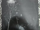 DARKTHRONE Under Funeral Moon LP 1993 ORIGINAL UK PEACEVILE INNER SLEEVE BLACK M