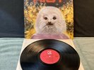 Vintage Original RIOT “FIRE DOWN UNDER” 1981 Nm