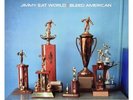 Bleed American by Jimmy Eat World - 10th Anniversary Reissue - 3 Colored LPs 