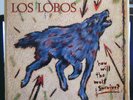 LOS LOBOS - HOW WILL THE WOLF SURVIVE? - LP 33 GIRI VINILE NUOVO 1984