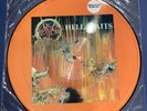 SLAYER lim. numbered Picture Vinyl LP Hell Awaits (1985 Metal Blade Records USA)