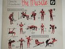 killer disco boogie breaks - GENIUS - The Muscle (Homoflexible) - CNR 12