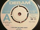 THE MOVE - I CAN HEARN THE GRASS GROW - RARE UK DERAM DEMO / PROMO 7