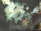 THE CURE - disintegration LP