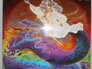 Bullfrog - High In Spirits / Vinyl LP / Krautrock