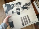 Fleetwood Mac ‎– The Alternate Tusk 180 Gram Vinyl – Record Store Day Exclusive
