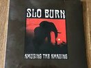 SLO BURN - Amusing The Amazing 10