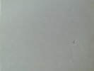 BEATLES - White Album - Vinyl Gatefold LP with poster - APPLE - Dear Prudence